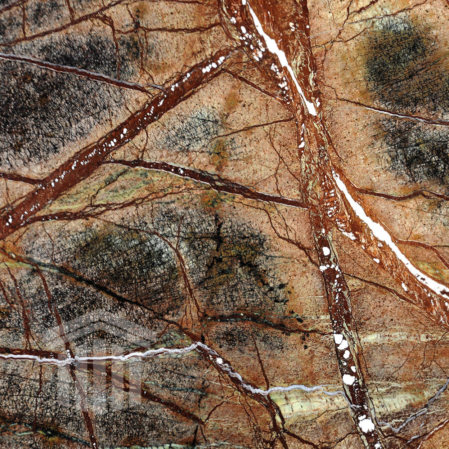 textura placaj marmura rainforest brown lustruit lastra